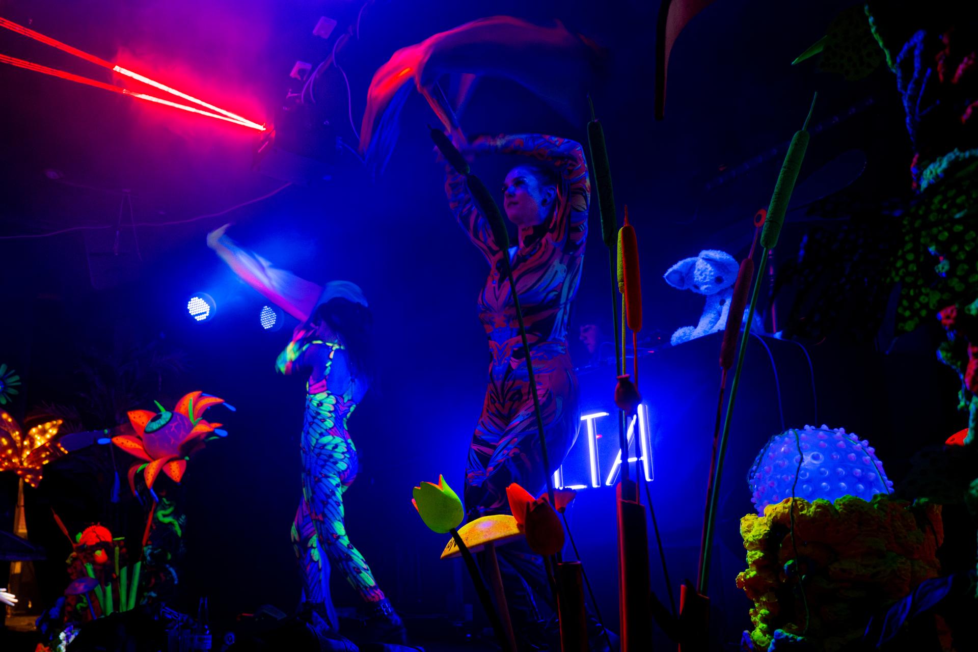 Live music photograph — SC25
