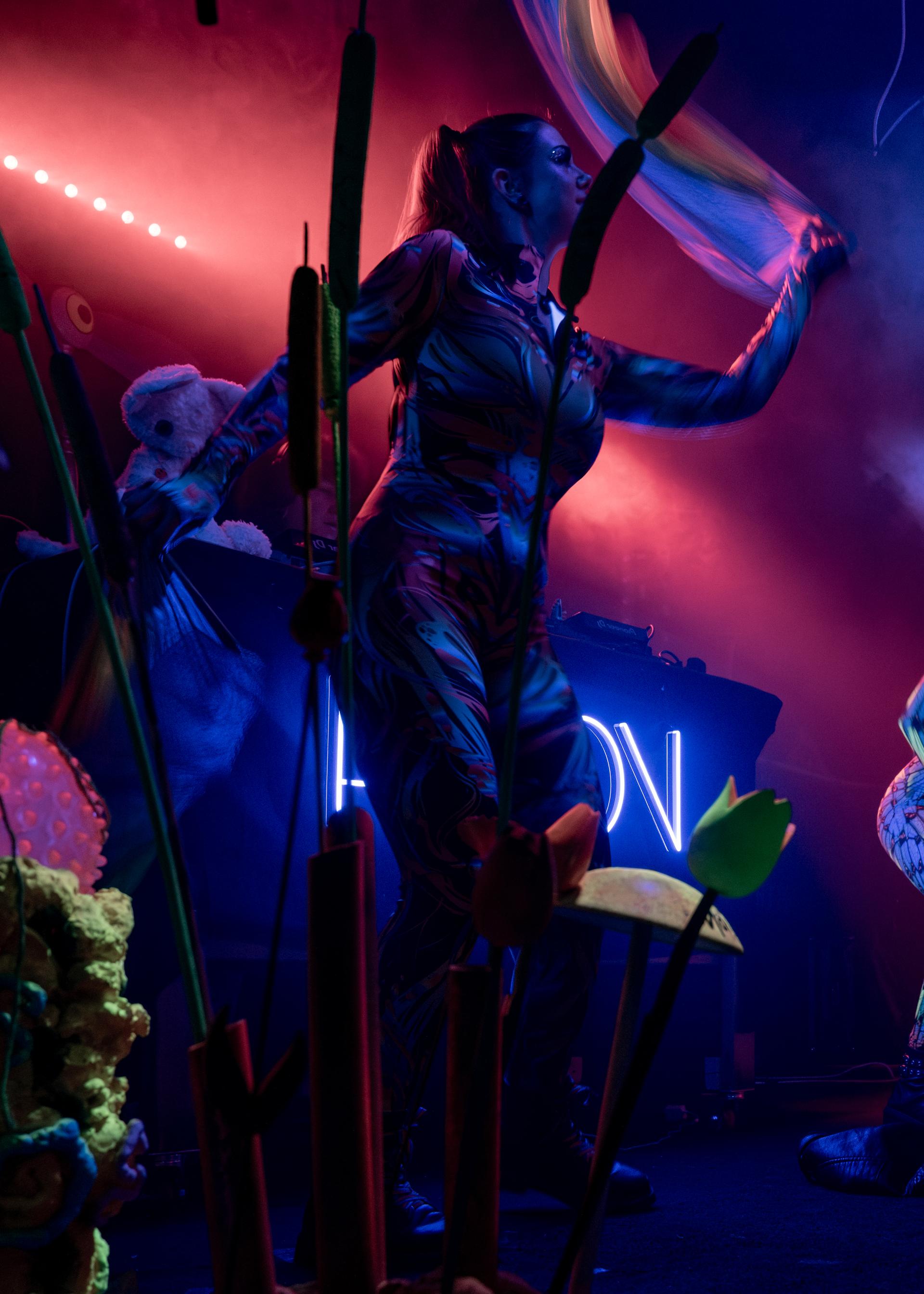 Live music photograph — SC8