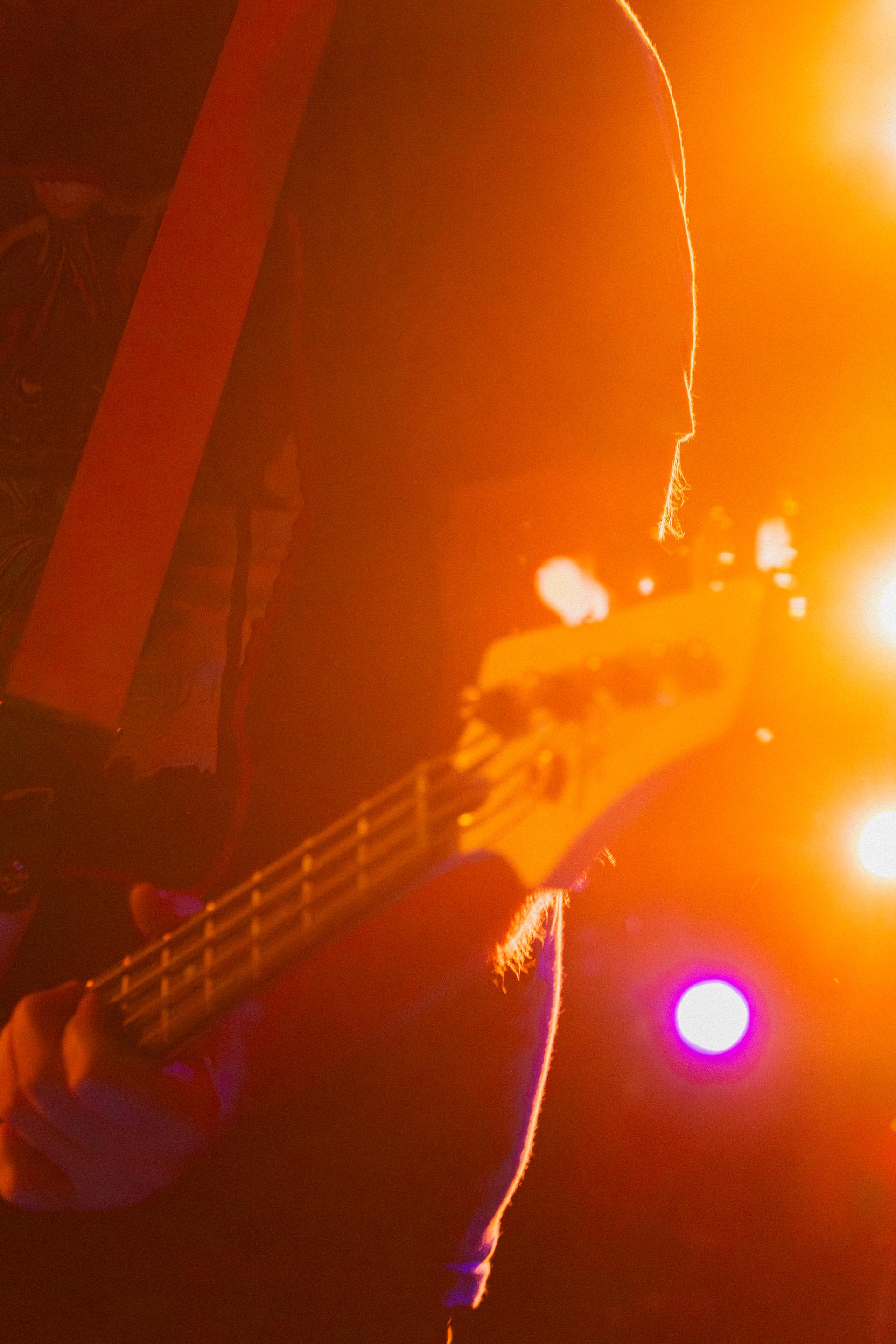 Live music photograph — Zombieeaters